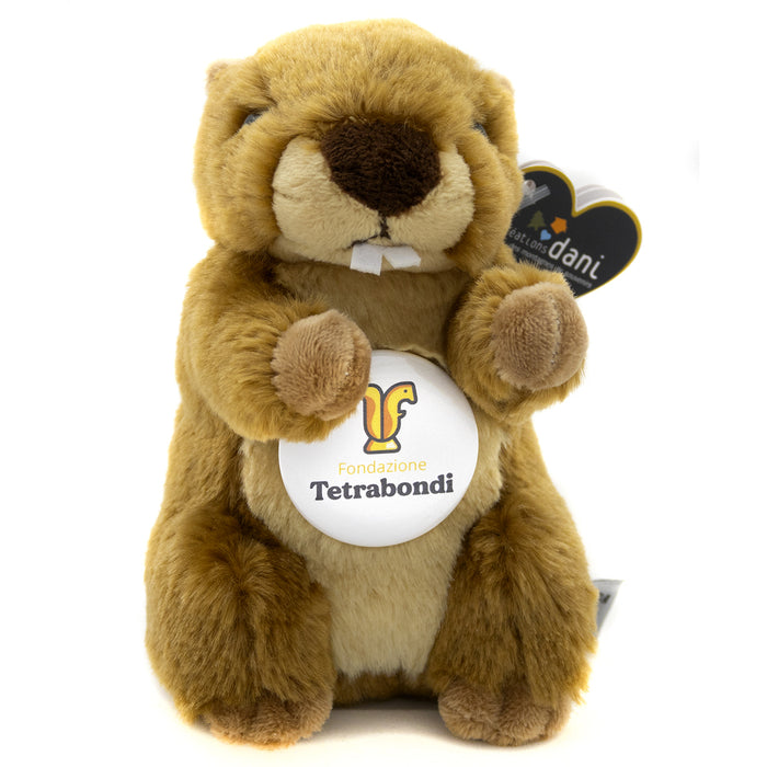Marmotta grande