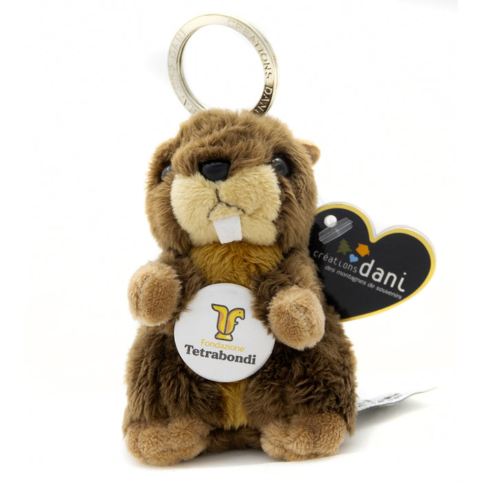 Marmotta piccola