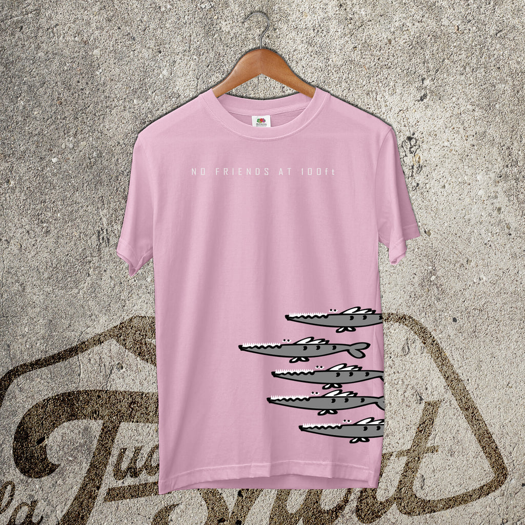 Barracuda