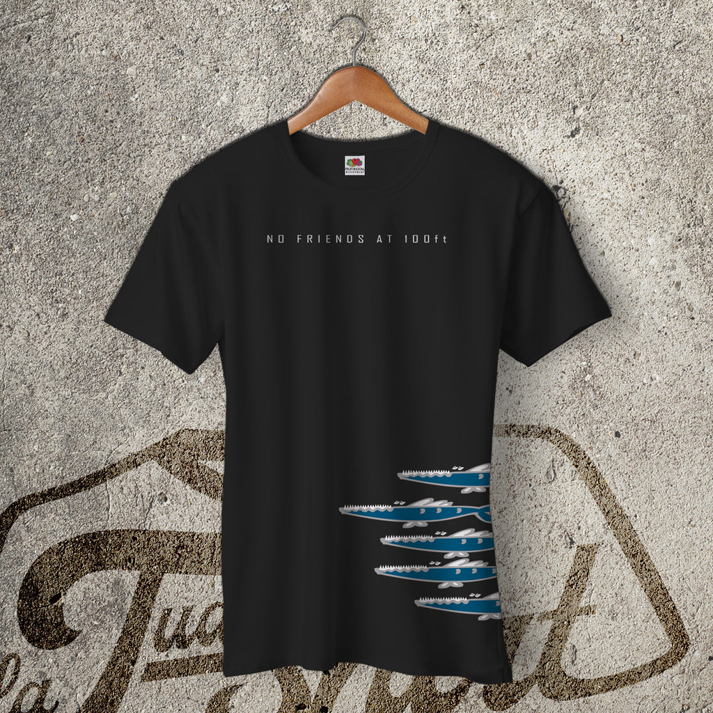Barracuda