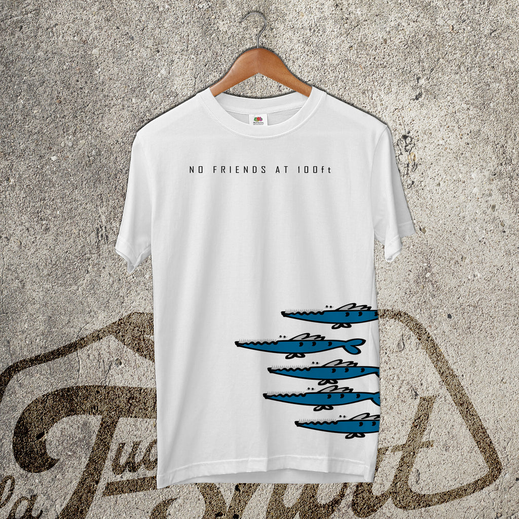 Barracuda