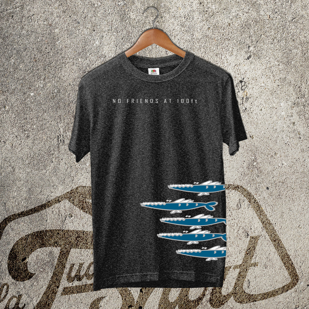 Barracuda
