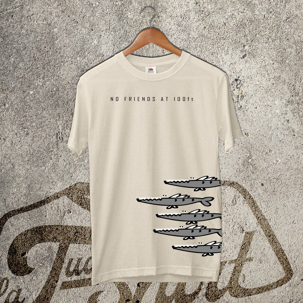 Barracuda