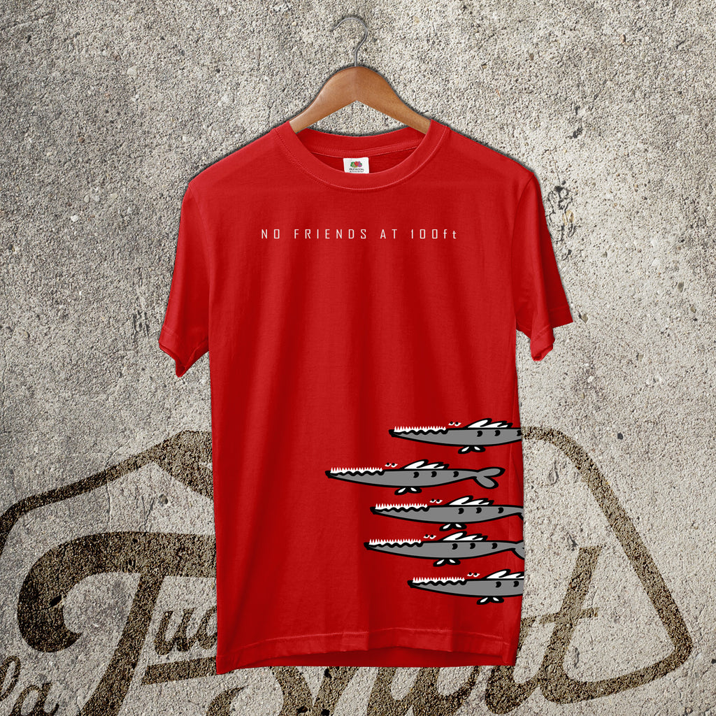 Barracuda